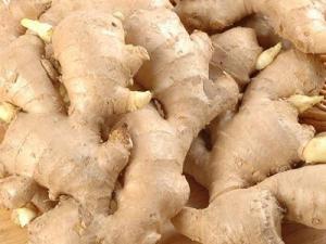 吃生姜的好處與壞處？為什么說冬吃蘿卜夏吃姜