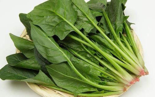 盤點四種冬季養(yǎng)生蔬菜 冬季養(yǎng)生水果有哪些