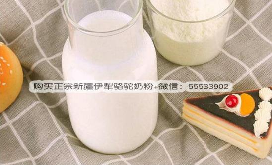經常喝駝奶有什么好處呢?孕婦可以喝駱駝奶粉嗎?