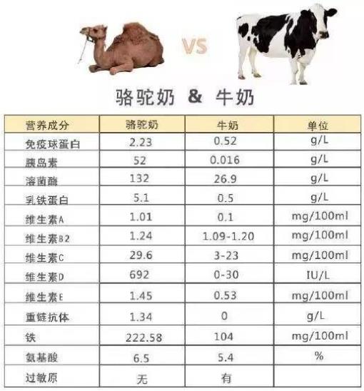 經常喝駝奶有什么好處呢?孕婦可以喝駱駝奶粉嗎?