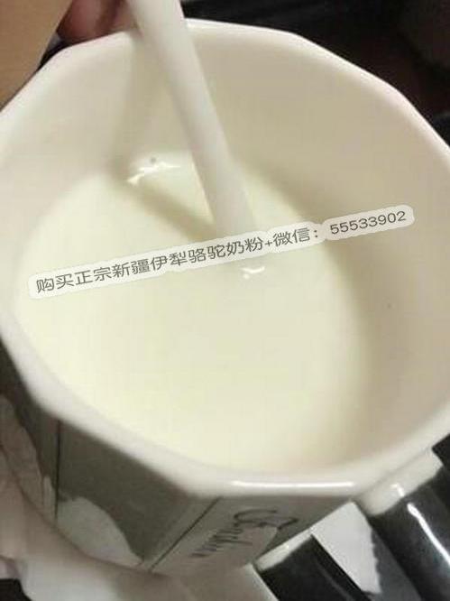 那拉絲醇駝奶粉怎么樣?哪里能買到正宗新疆駝奶粉?