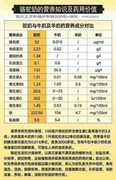 哪里能買到正宗新疆駱駝奶粉?真的駱駝奶粉價格是多少?