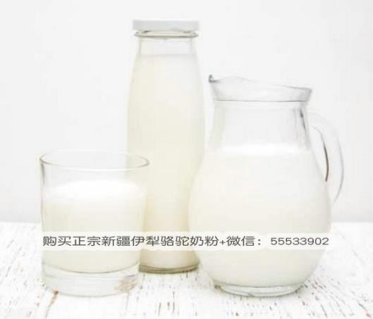 駝奶真假如何分辨?真駝奶的價格是多少?