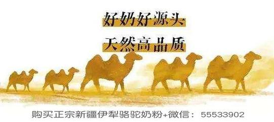 駝奶真假如何分辨?真駝奶的價格是多少?