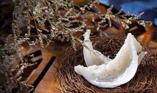 哪些人適合吃燕窩?燕窩有哪些作用?