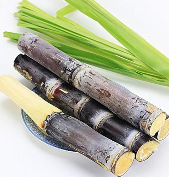 吃甘蔗是增肥還是減肥?什么樣的甘蔗吃了會中毒?