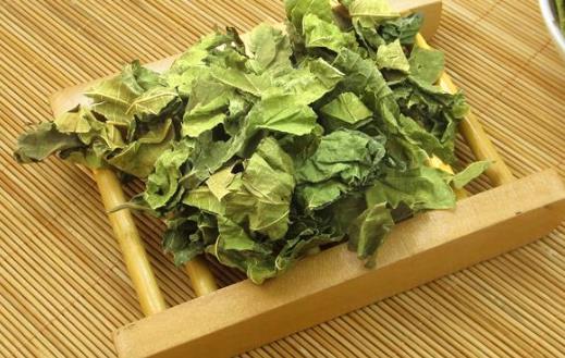 桑葉茶有哪些副作用?桑葉茶有哪些功效?