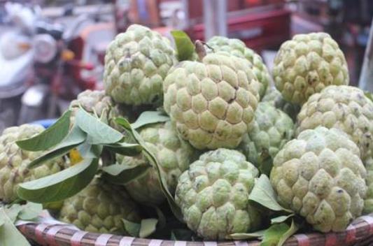 甲狀腺結(jié)節(jié)的人可以吃釋迦果嗎?吃釋迦果有哪些好處?