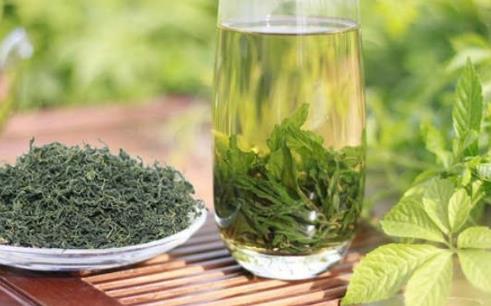 絞股藍(lán)有減肥的功效嗎?絞股藍(lán)茶減肥怎么喝效果好?