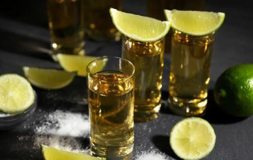龍舌蘭酒口感好不好?為何喝龍舌蘭酒要加鹽?