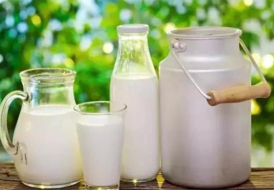 現擠的鮮牛奶能冷凍嗎?鮮牛奶可以做成酸奶嗎?