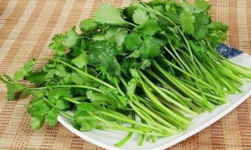孕婦可以吃香菜嗎?哪些人不宜吃香菜?