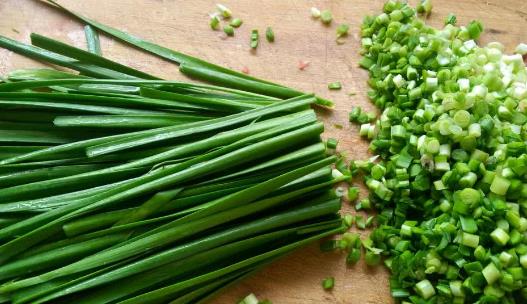 吃韭菜吃多了為什么會燒心?吃韭菜有哪些好處?