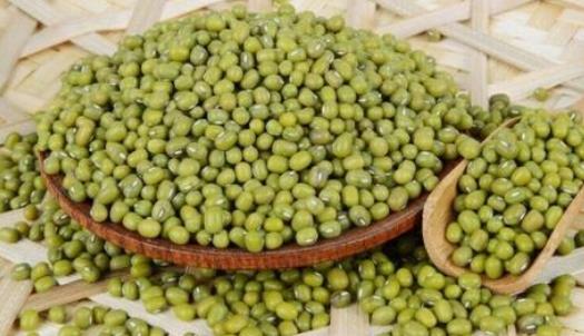 怎么選購綠豆?吃綠豆有哪些好處?