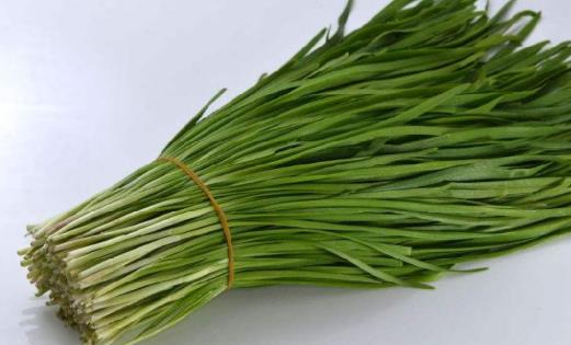 吃韭菜吃多了為什么會燒心?吃韭菜有哪些好處?