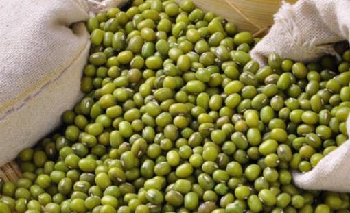 怎么選購綠豆?吃綠豆有哪些好處?