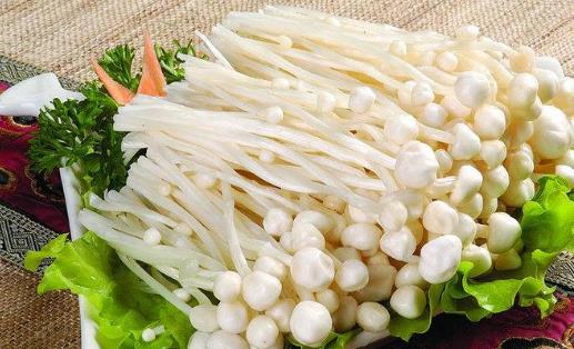 腎衰竭可以吃金針菇嗎?金針菇有哪些營養價值?