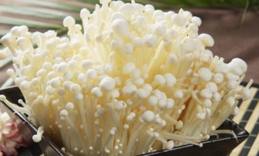 腎衰竭可以吃金針菇嗎?金針菇有哪些營養價值?