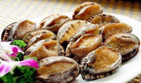 吃鮑魚是吃頭還是足?為什么鮑魚會變硬?
