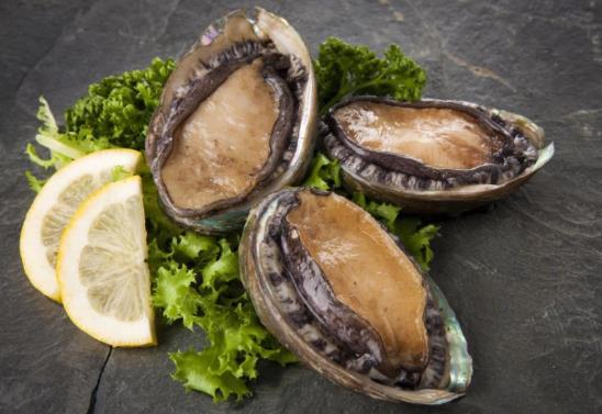 吃鮑魚是吃頭還是足?為什么鮑魚會變硬?