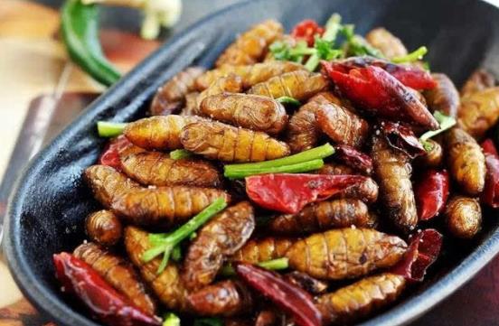 吃蠶蛹怎么預防中毒?蠶蛹中毒有什么癥狀表現?