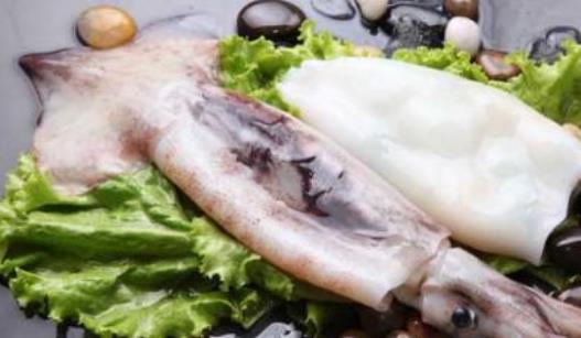 怎么清洗魷魚(yú)?吃魷魚(yú)有哪些好處?