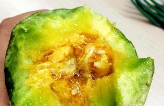 羊角蜜為什么會發苦?羊角蜜的籽能吃嗎?