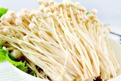 金針菇洗過后放時間久了有毒嗎?金針菇不去根吃會不會中毒