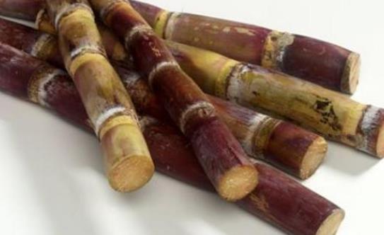 甘蔗有相克的食物嗎?甘蔗是上火還是下火的?