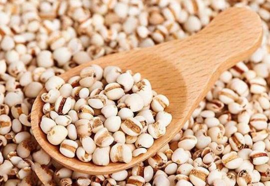 薏米需要炒嗎?薏米可以打成豆漿喝嗎?
