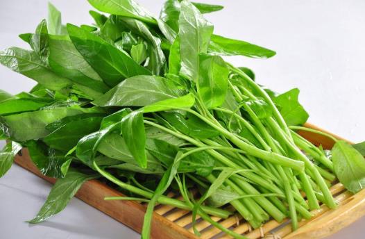 吃藥后能吃空心菜嗎?胃不好的人可以吃空心菜嗎?