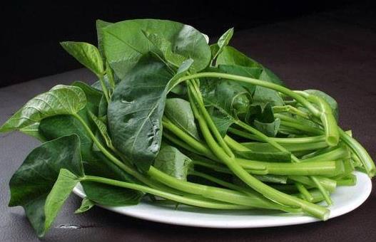 吃空心菜能解藥性嗎?吃空心菜會(huì)腹瀉嗎?