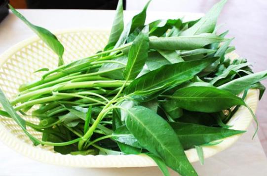吃空心菜能解藥性嗎?吃空心菜會(huì)腹瀉嗎?