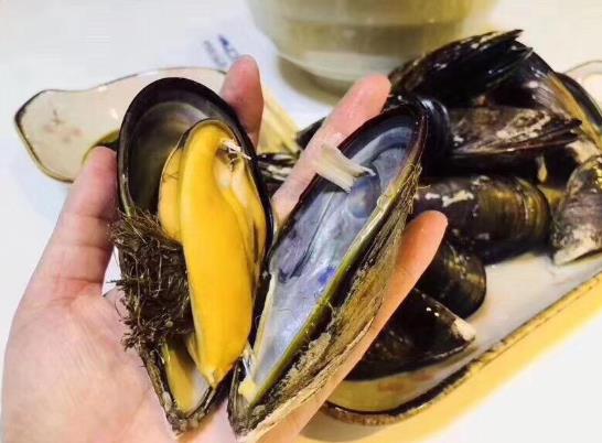 海虹有毒嗎?海虹是青口貝嗎?