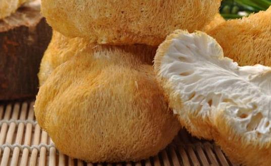 干猴頭菇需要泡發多久?干猴頭菇泡太久了好嗎?
