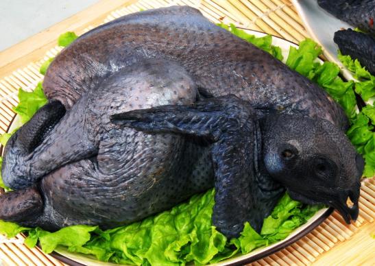 烏雞比一般的雞營養價值高嗎?烏雞好吃還是普通雞肉好吃?