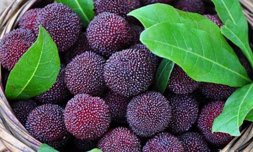 經(jīng)期可以吃楊梅嗎?楊梅不能和什么一起吃?