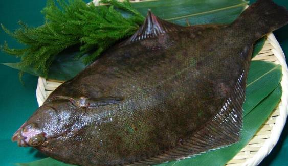 多寶魚隔夜了還能吃嗎?哪些人不宜吃多寶魚?