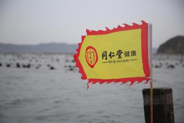 同仁堂健康大連海參基地媒體溯源活動成功舉行
