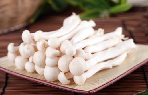 孕婦可以吃白玉菇嗎?白玉菇有哪些作用?