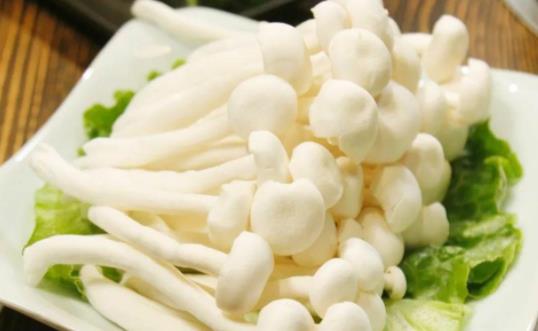 孕婦可以吃白玉菇嗎?白玉菇有哪些作用?