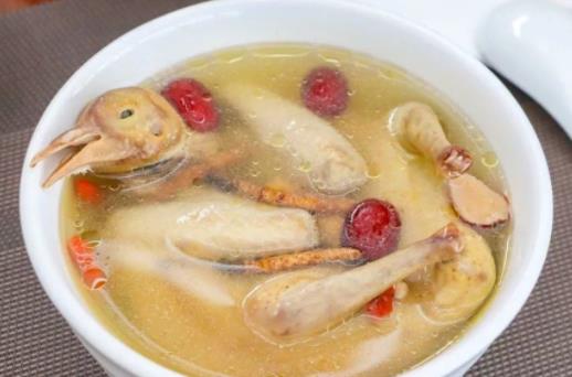為什么手術后要吃鴿子湯?鴿子肉有什么功效?