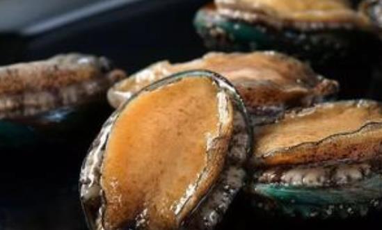吃鮑魚為什么會上火?什么鮑魚最好?