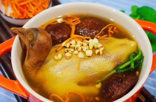 吃鴿子肉會(huì)上火嗎?哪些人不宜吃鴿子肉?