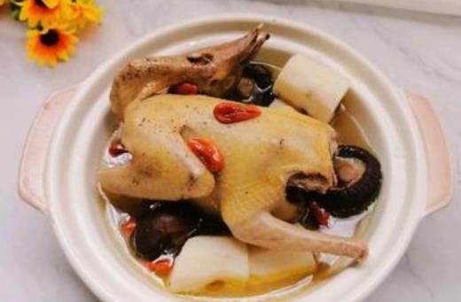 吃鴿子肉會(huì)上火嗎?哪些人不宜吃鴿子肉?