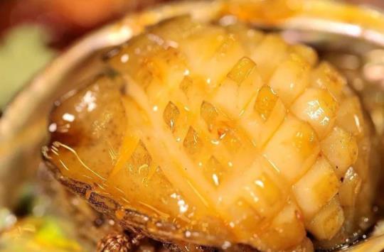 鮑魚可以滋陰嗎?鮑魚屬于涼性食物嗎?