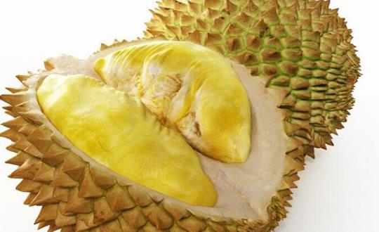 榴蓮是選擇規則形狀還是不規則形狀?榴蓮不熟怎么辦?