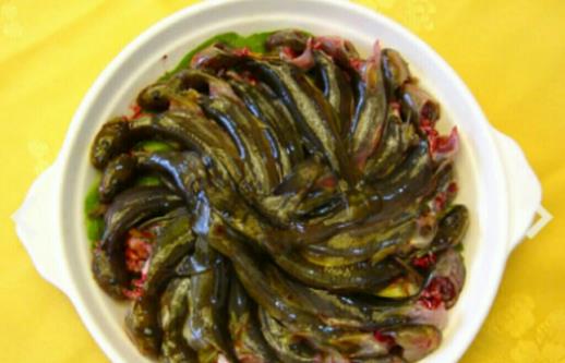 孕婦可以吃七星魚嗎?吃七星魚有哪些營養價值?