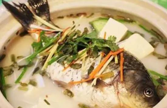 鯉魚(yú)和豆腐可以一起吃嗎?吃鯉魚(yú)有哪些好處?