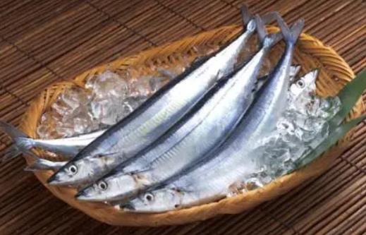 經常吃秋刀魚好嗎?吃秋刀魚需要注意什么?